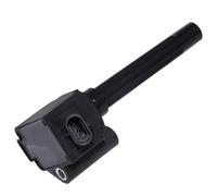 Bobina Accensione Per Ford Per Territorio 1.5T 2019 2020 2021 2022 Accessori FS1-12A366-AB JS1-12A366-AB Bobina Di Accensione Moto bobina accensione