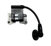 Bobina Accensione Per KASEI Per BC330 Per CG330 Magneto Statore Bobina Accensione Elettronica 1E36F-2E 1E36F-2E.2 TLE33 AL-KO 4125 Bobinaaccensione motocicletta