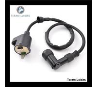 Bobina Accensione per Kymco Super 8 125 Di 2008 2009 2010 2011 2012 2013 2014