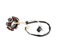 Bobina Accensione Per Motocicletta, 6 Bobine, Statore A 5 Fili Per 50cc/70cc/90cc/110cc/125cc ATV Quad Go Kart - Sostituzione Magnete Statore Ricarica