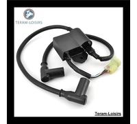 Bobina Accensione Per Ski-Doo Skandic Super Wide Track Del 1997 1998 1999 2000