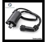 Bobina Accensione Per Suzuki AN400 (Burgman 400/Skywave 400) Del 2005 2006