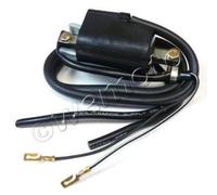 Bobina Accensione per Suzuki GS 550 77-86