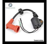 Bobina Accensione Per Yamaha 50 HP 50 M W/E/T/H/O S/L Del 2008 2009