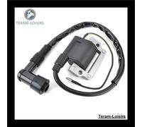 Bobina Accensione Per Yamaha IT175 Del 1977 1978 1979 1980 1981 1982 1983