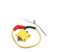 Bobina Accensione Per ZongShen Per NC250 NC300 Per Motore NC 300 NC 250 Off-road Motorcycle CDI Box Bobina Di Accensione CDI Racing DIP Velocità Regolabile(Only Ignition Coil)