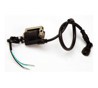 Bobina Accensione Pit Bike Quad ATV 110/125cc