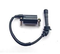Bobina accensione Regolatore Di Tensione Per Motocicletta 250cc Per Benelli BN251 TNT25 TNT250 BJ250-15 15A / BN Per TNT 25 250 251 Unità Raddrizzatore accensione moto(Option 2)