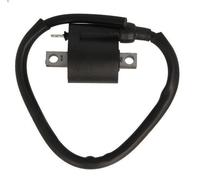 Bobina accensione RMS RMS 24 601 0040
