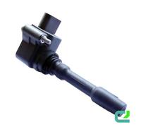 Bobina Accensione SAE Incl. Pipetta Candela BBT per Porsche Cayenne (92A)