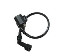 Bobina Accensione Spark Coil Bobina Di Accensione Elettrica Per Suzuki 125cc AN 125 AN125 Ricambi Per Moto E Scooter