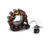 Bobina Accensione Spark Coil Per CBF125 CBF 125 2008 2009 2010 2011 2012 2013 2014 2015 Sostituzione Statore Magneto Generatore 31120-KWF-941