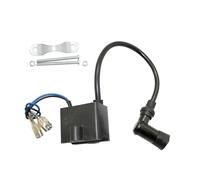 Bobina Accensione Spark Coil Per La Sostituzione Della Bobina Di Accensione CDI Motorizzata Per Motori Da 50cc 60cc 66cc 80cc