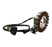 Bobina Accensione Statore 31120-007G00-0000 Compatibile Con Hisun