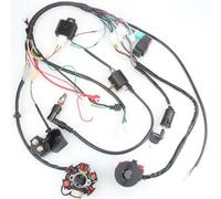 Bobina Accensione Statore Completo Completo di impianto Elettrico Cablaggio CDI STATORE 6 Bobina Moto per ATV Quad Pit Bike Buggy Go Kart 50 70 90 110 125cc Bobina Magneto Statore