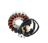 Bobina Accensione Statore Generatore Per Motocicletta Per per Triple R Per Street 675 ABS 675R 2008 2009 2010-2017 T1300039 Generatore Statore