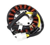 Bobina Accensione Statore Magnete Bobina Statore Magnete Accensione Moto Per Forza 250 MF06 NSS250 Foresight FES250 Elite KAB CH250 31120-KAB-018