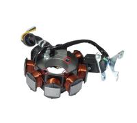 Bobina Accensione Statore Magnete Per CG125 ZJ125 CG ZJ 125 125cc Magneto Statore Bobina Generatore Ricambi Moto 5 Fili 8 Poli