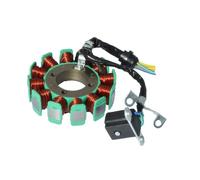 Bobina Accensione Statore Magnete Per CG125 ZJ125 CG ZJ 125 125cc Moto 5 Fili 12 Poli Magneto Statore Bobina Generatore Ricambi