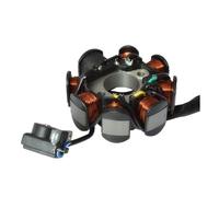 Bobina Accensione Statore Magnete Per GY6-125 152QMI 157QMJ Moto 5 Fili 8 Poli Bobina Statore Magnete A Onda Intera Generatore Scooter Ciclomotore ATV Bici