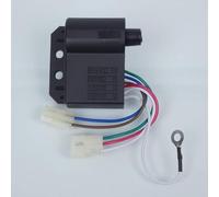 Bobina ad alta tensione HT con CDI Leonelli compatibile con moto Derbi 50 GPR 1997-2004