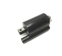 BOBINA ALTA TENSIONE COMPLETA PER KYMCO 250 PEOPLE LC 2004