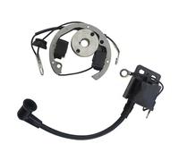 Bobina Alta Tensione Per 50 SX 50cc Pro SR JR SX50 Adventure Per Bobina Di Accensione Statore Rotore Magnete Volano Kit