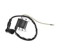 Bobina Alta Tensione Per DT80 DT100 DT125 DT250 DT400 ATV Quad Motor Pit Bike Bobina Di Accensione