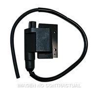Sgr Kymco/peugeot/piaggio/sym Ignition Coil Verde