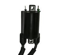 BOBINA AT ESTERNA 12V HONDA CBR 600/900 - VT750C (INT.FORI 80MM.)