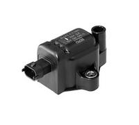 BOBINA AT ESTERNA BERU ZS439 DUCATI Panigale S / Panigale S ABS 1299 2015-2018