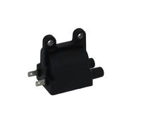 BOBINA AT ESTERNA DOPPIA ACCENSIONE per IMPIANTO TRIUMPH Daytona 1200 1991-1998