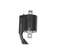 BOBINA AT ESTERNA per BETAMOTOR RR Motard AM6 K/S E2 "Ruote Raggi" 50 2008-2008