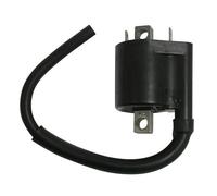 Bobina Yamaha Xmax 125-250-400 12v-3 ohm-2 Fastons-Con Cavo 20cm Moto Motore