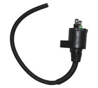 BOBINA AT ESTERNA per MALAGUTI 125 Ciak/Ciak Master/Rst E2 2000-2005 SGR