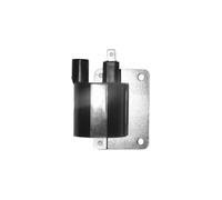 Sgr 12v 1ohm 1 Faston Ignition Coil Nero