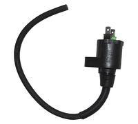 BOBINA AT ESTERNA SCOOTER HONDA/PEUGEOT/PIAGGIO PIAGGIO Beverly 125 2001-2003