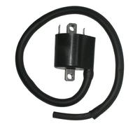 BOBINA AT ESTERNA SUZUKI DL1000 - SV 1000