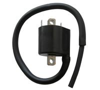 BOBINA AT ESTERNA SUZUKI SV 650 03/07