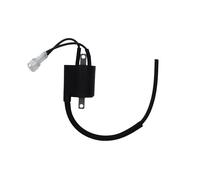 Mitsubishi Yamaha Wr-f 450 2012-2014 Ignition Coil Argento