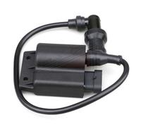 Bobina Centralina Elettronica Malaguti Ciak 50 4T 6399786