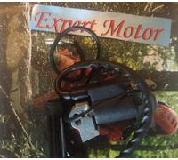 BOBINA CORRENTE ACCENSIONE PER MOTORI HONDA GX 110 120 140 160 200 NUOVA