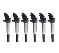 Bobina d'accensione blocco Per BMW Per X5 E70 E53 F15 Per X6 E71 E72 Per X4 F26 Per X3 F25 E83 E84 F10 E90 E46 E60 E87 F01 6 Pezzi 12138616153 Bobina Di Accensione