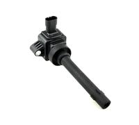 Bobina D'accensione Bobina Accensione F01R00A052 Per Haval Per H6 M6 H2S Per Jolion Per GWM Per Great Per Per WALL V80 1.5T Per Fengon Ix5 Per DFSK 580 Dispositivo Accensione(1 piece)