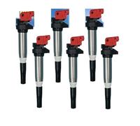 Bobina D'accensione Bobina Accensione Per BMW Per Mini F30 F31 F10 F32 F33 F15 F16 E83 E84 E90 E82 E88 E92 E93 N52 N54 N55 N18 N20 Dispositivo Accensione(6 Piece)