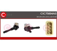 BOBINA D'ACCENSIONE CASCO CIC75004AS 12131703228 PER BMW SERIE 3 SERIE 3 TOURING