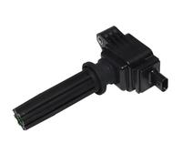 Bobina d'Accensione Compatibile Con Ford Per Escape Per Explorer Per Fiesta Car Straight Boot Ignition Coil Pack 0221604700(1pcs)