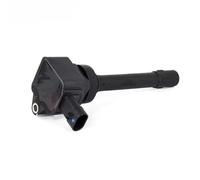 Bobina d'Accensione Compatibile Con Great Per Wall Per Haval Per H6 H2 C50 V80 Candele Per Auto Bobine Per Auto Accessori 3705100-EG01T(1pcs)