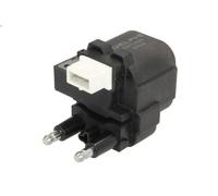 DELPHI GN10828-12B1 Bobina d'accensione per RENAULT,VOLVO