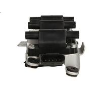 Bobina d'accensione ENGITECH ENT960065 per AUDI A4 B6 (8E2) 2.4 2001-2004